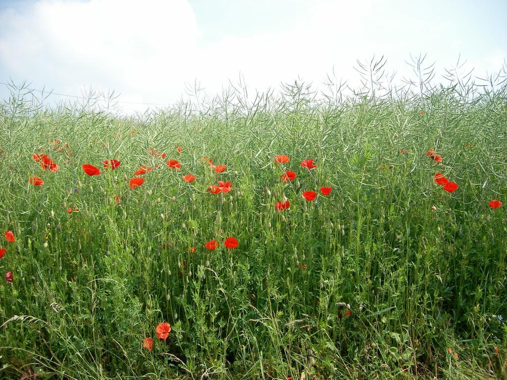 Landhaus באד ברטריך מראה חיצוני תמונה
