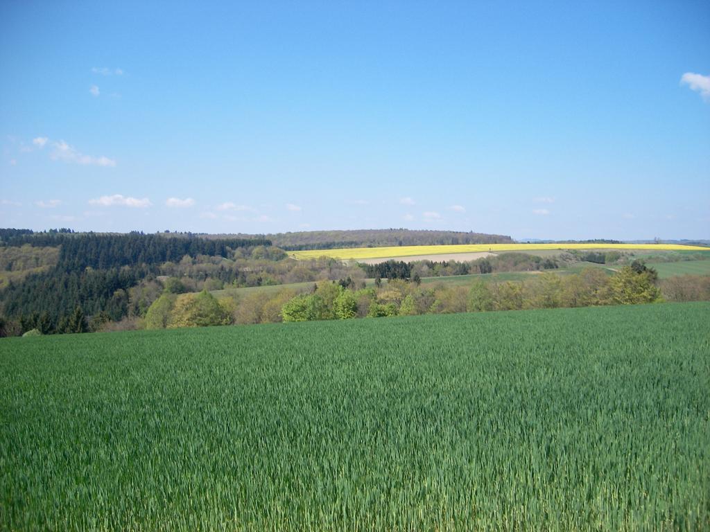 Landhaus באד ברטריך מראה חיצוני תמונה